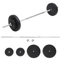 vidaXL Painonnostotanko levypainosarjalla 30 kg
