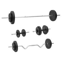 vidaXL Painonnostotanko ja käsipainosarja levyillä 60 kg